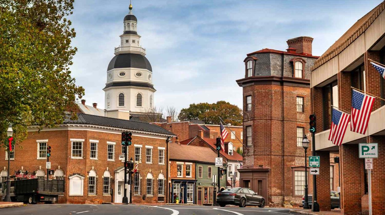Earnouts in Maryland Business Sales: How to Negotiate Them and What to Do When the Buyer Does Not Pay