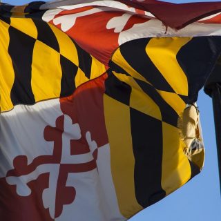 Minority LLC Member Rights in Maryland: Why There Is No Oppression Statute and What Actually Protects You