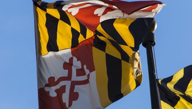 Minority LLC Member Rights in Maryland: Why There Is No Oppression Statute and What Actually Protects You