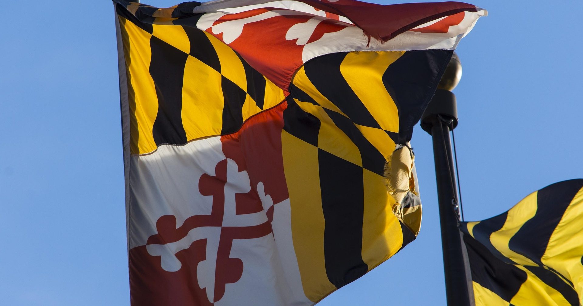 Minority LLC Member Rights in Maryland: Why There Is No Oppression Statute and What Actually Protects You